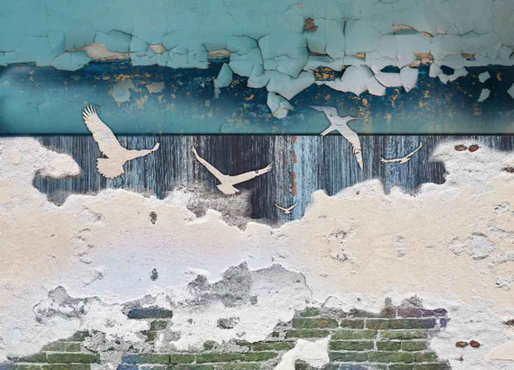 Фотообои Птицы и винтажная стена