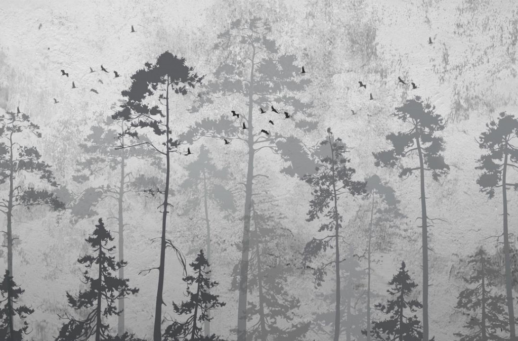 Фотообои Птицы в лесу