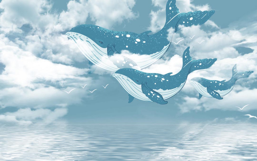 Фотообои Синий кит