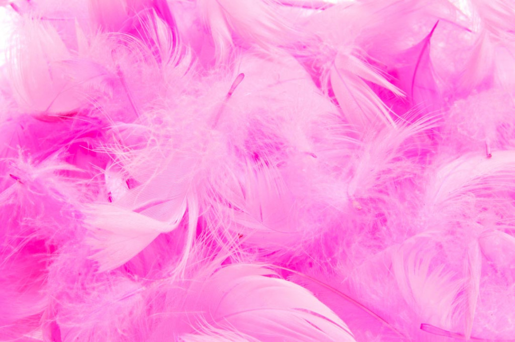 Фотообои Розовые перья