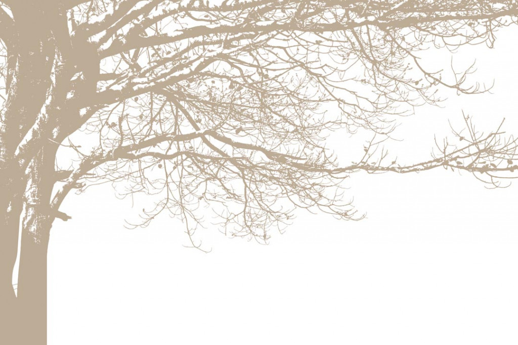 Фотообои Векторное дерево