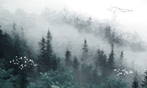 Фотообои Туманный лес