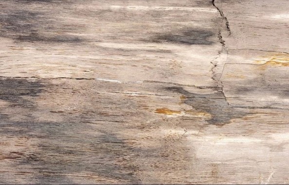 Фотообои Старая доска