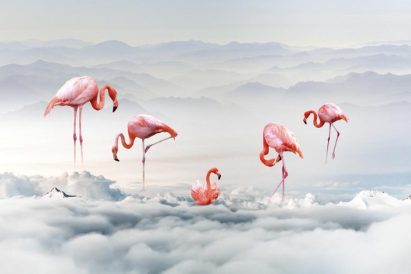Фотообои Фламинго на фоне гор
