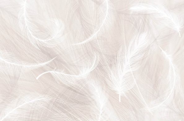 Фотообои белые перья