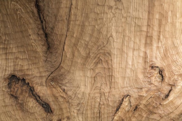 Фотообои Тестура дерева