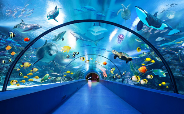 Фотообои Расширяющий аквариум
